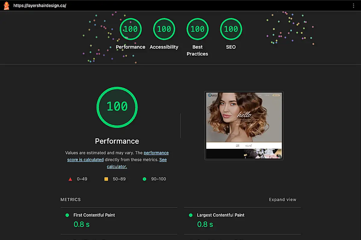 Google Lighthouse audit showing perfect 100 performance scores