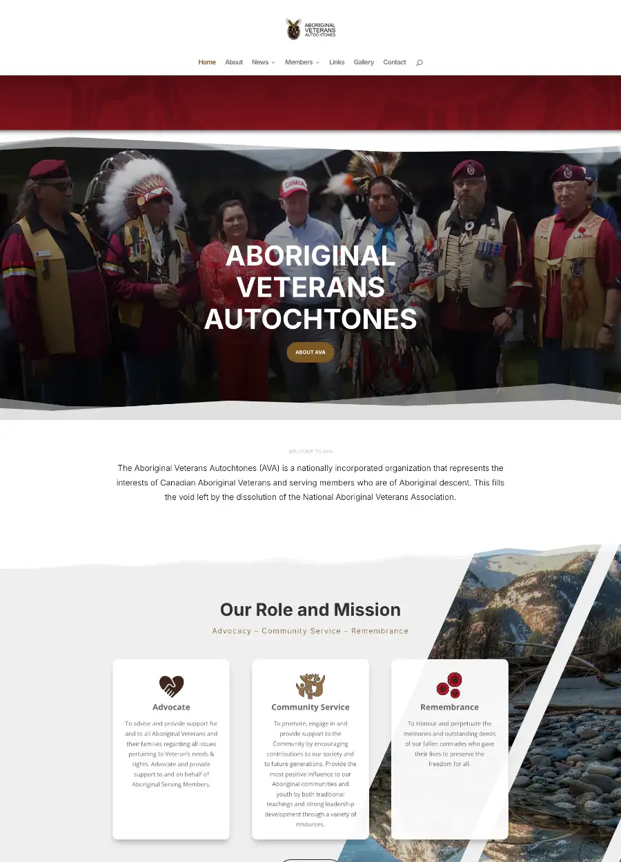 Previous AVA website design